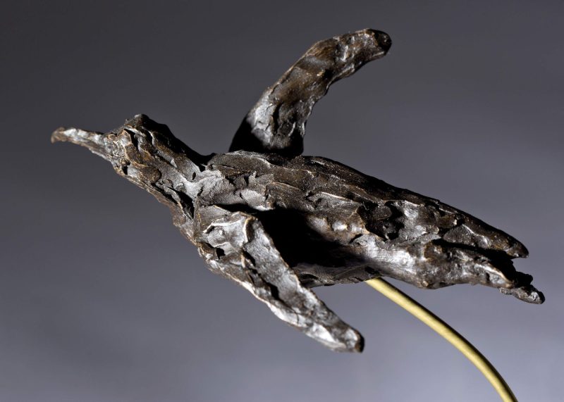 Sculpture - Bronze - Wildlife - Swimming Penguin 1b