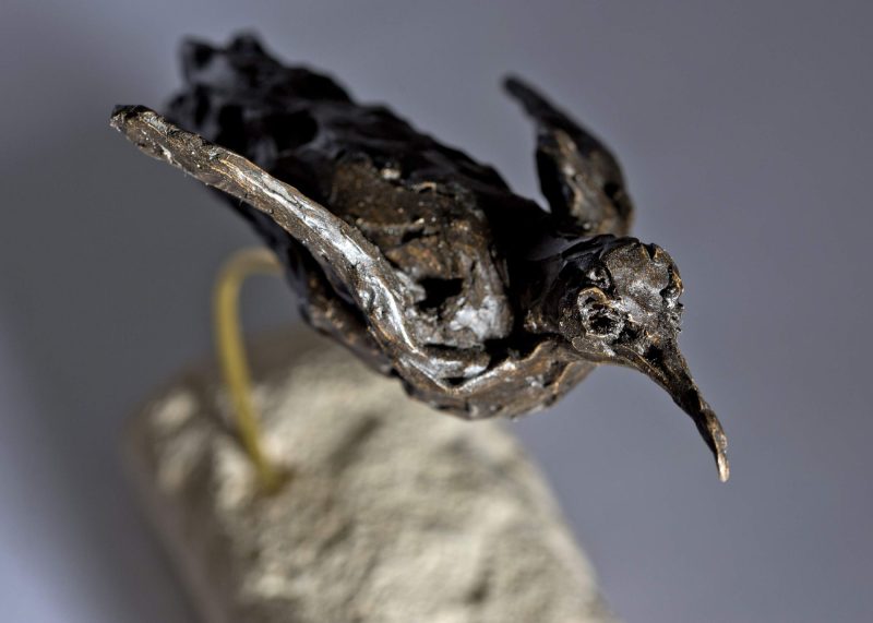 Sculpture - Bronze - Wildlife - Swimming Penguin 8