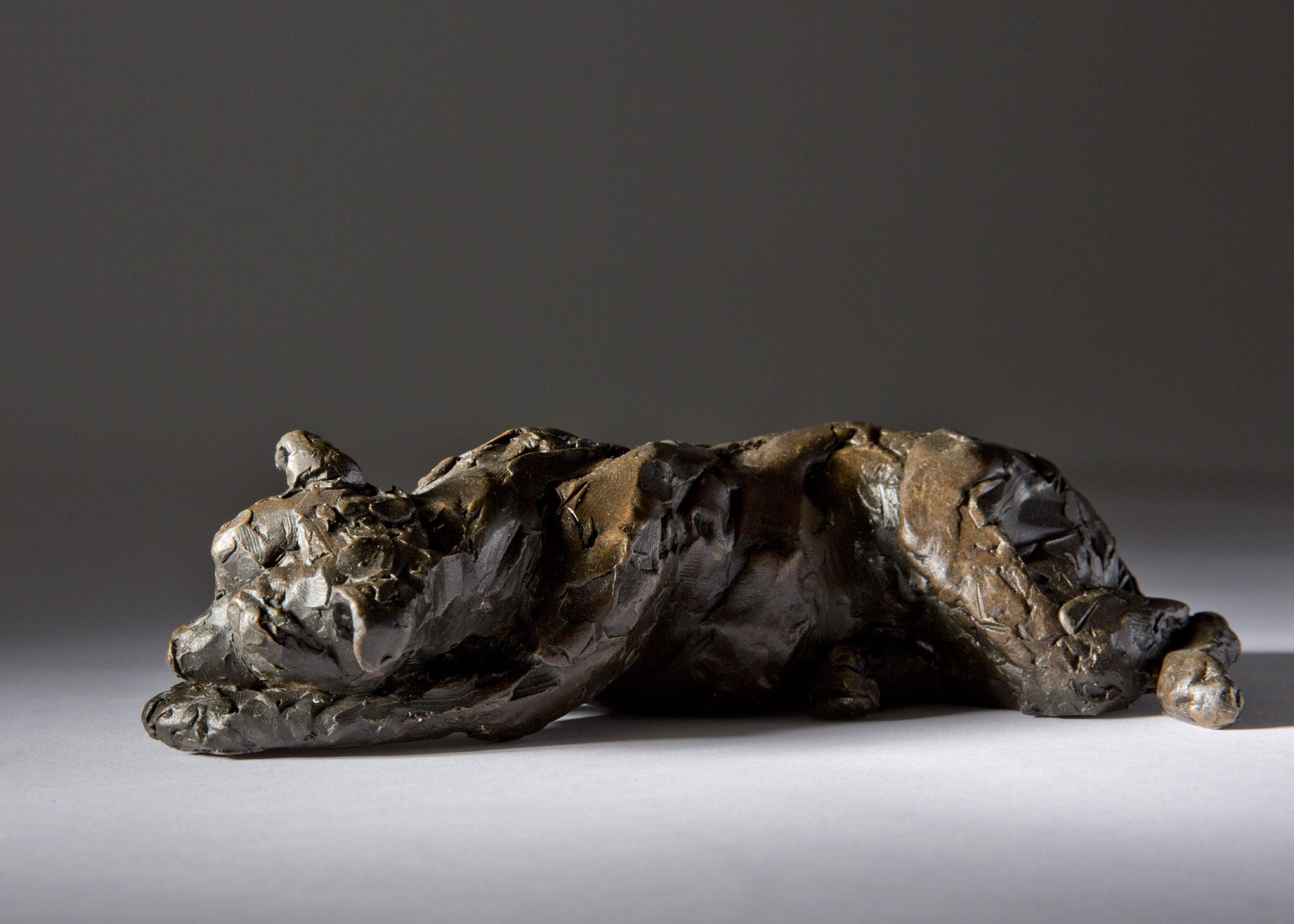 Sculpture - Bronze - Domestic Animal - Lying Staffordshire Bull Terrier 1