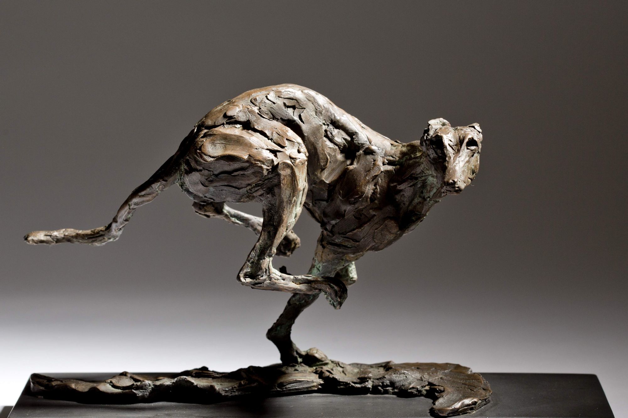 Sculpture - Bronze - Domestic Animal - Racing Greyhound 1