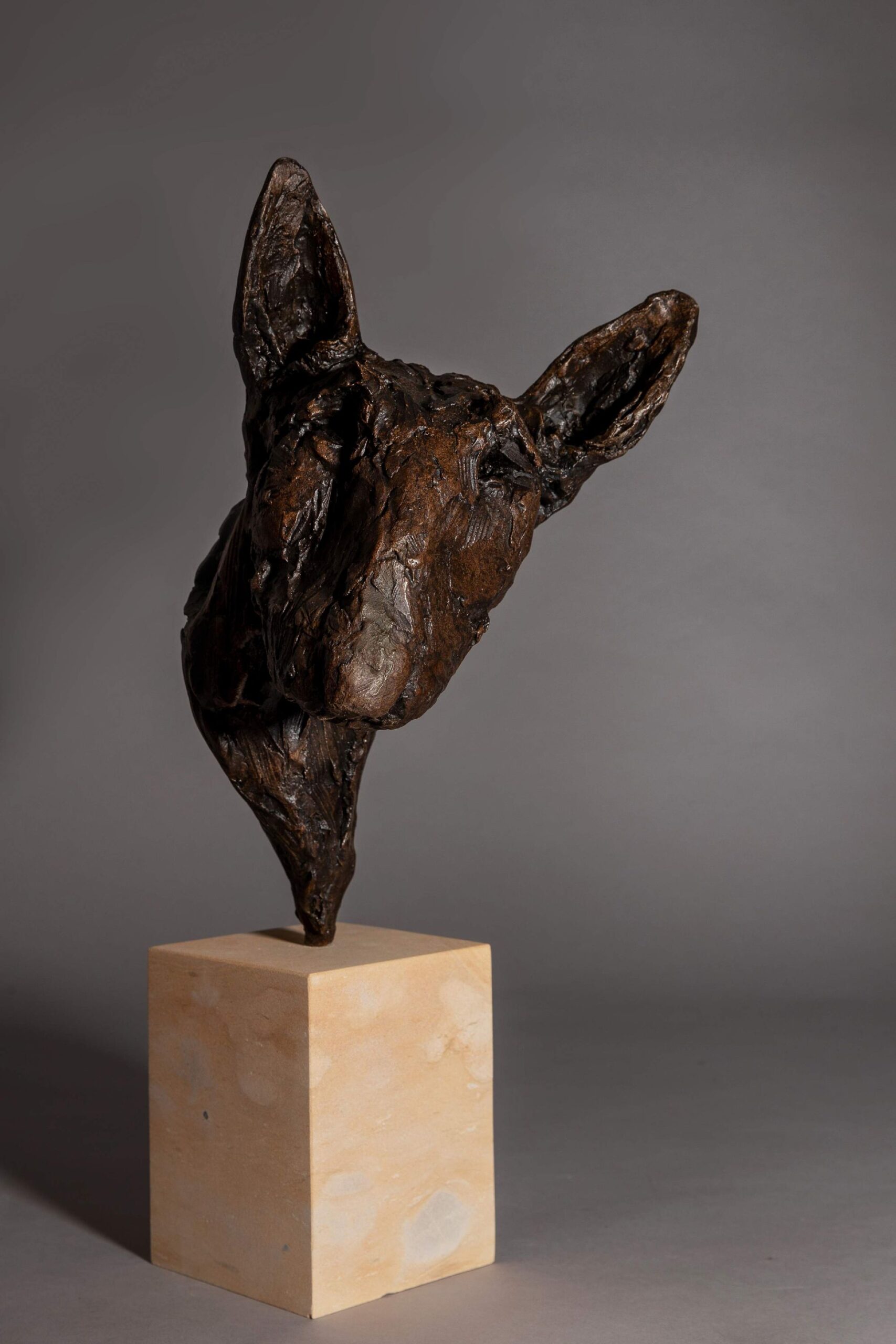 Sculpture - Bronze - Domestic Dog - Bull Terrier Head 1