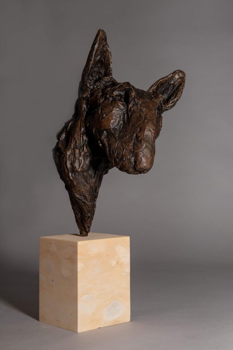 Sculpture - Bronze - Domestic Dog - Bull Terrier Head 5