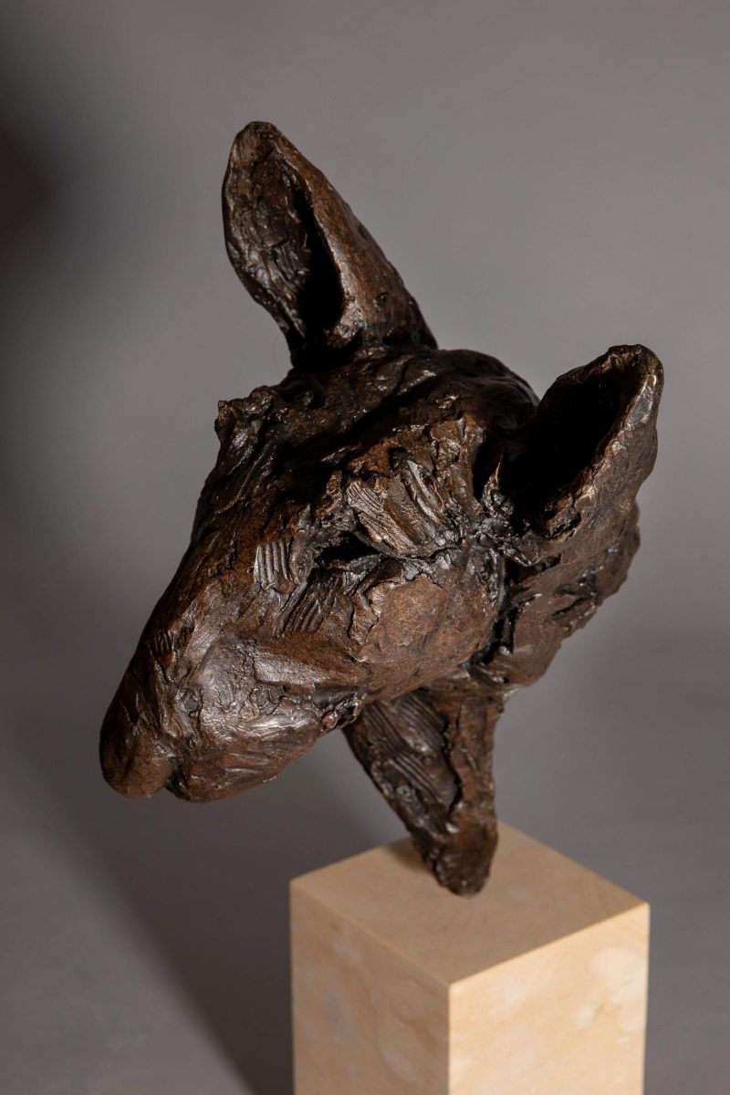 Sculpture - Bronze - Domestic Dog - Bull Terrier Head 6