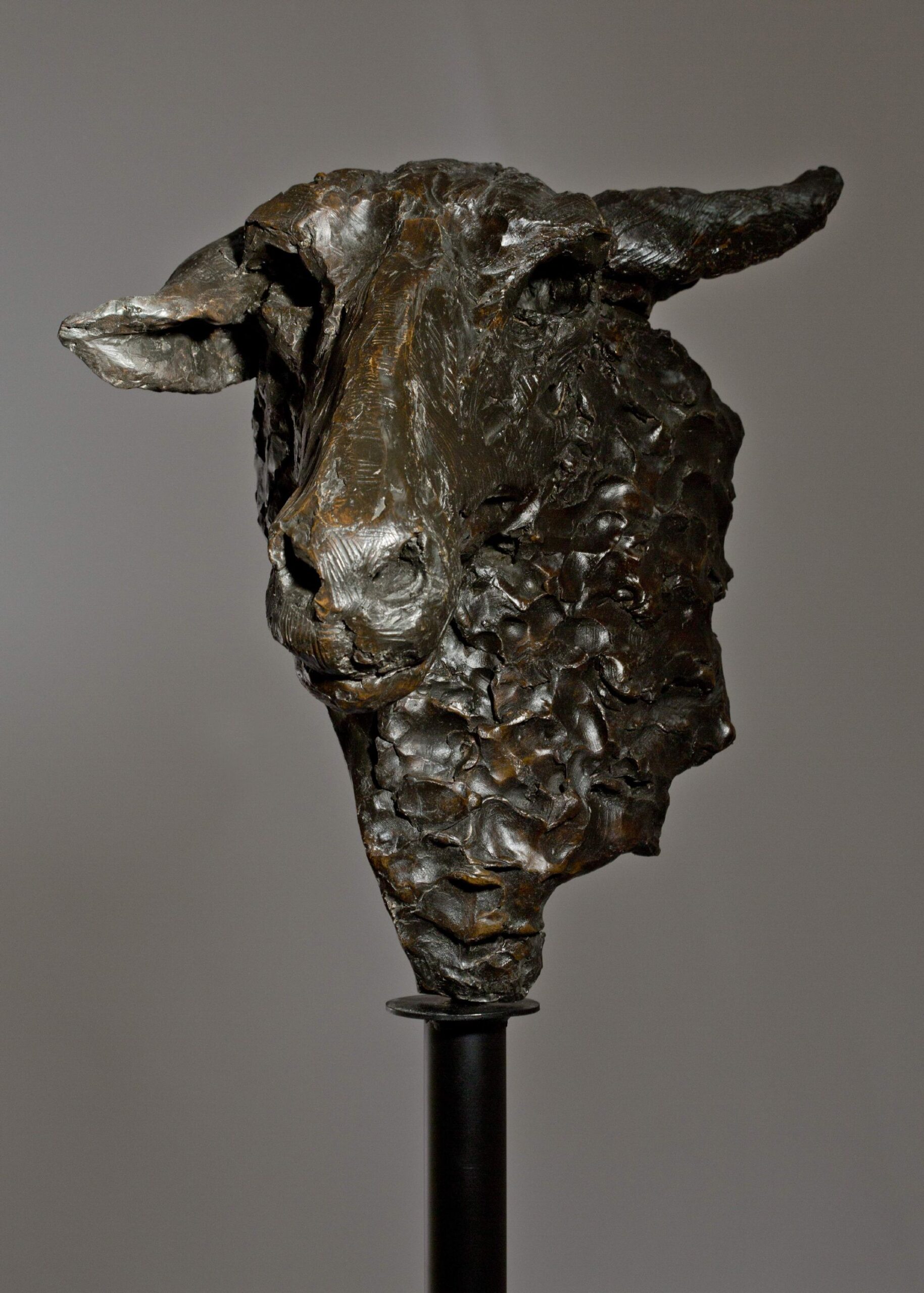 Sculpture - Bronze - Wildlife - Garden Sheep Head 1a