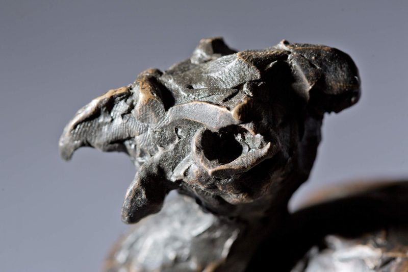Sculpture - Bronze - Wildlife - Guinea Fowl 4