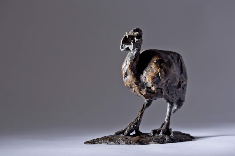 Sculpture - Bronze - Wildlife - Guinea Fowl 5