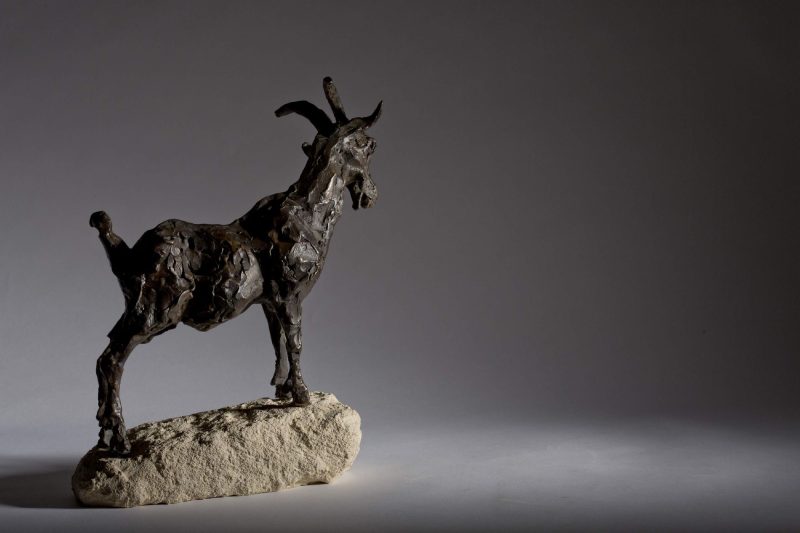 Sculpture - Bronze - Wildlife - Standing Goat 3