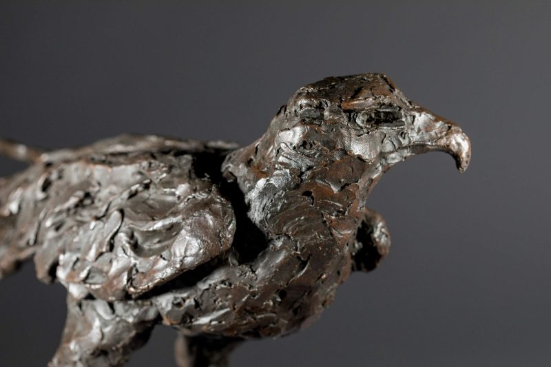 Sculpture - Bronze - Wildlife - Standing Hawk 11